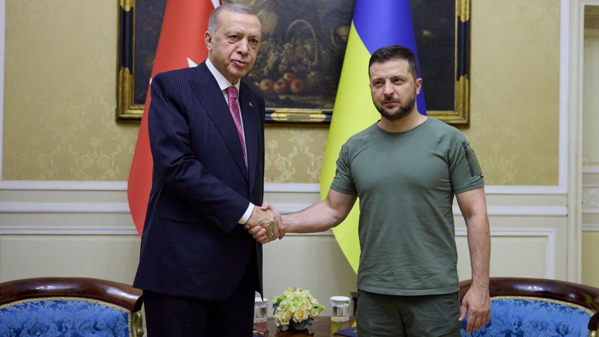 Volodimir Zelenski se întâlneşte cu omologul său turc, Recep Tayyip Erdogan, pentru a aprofunda relaţiile bilaterale
