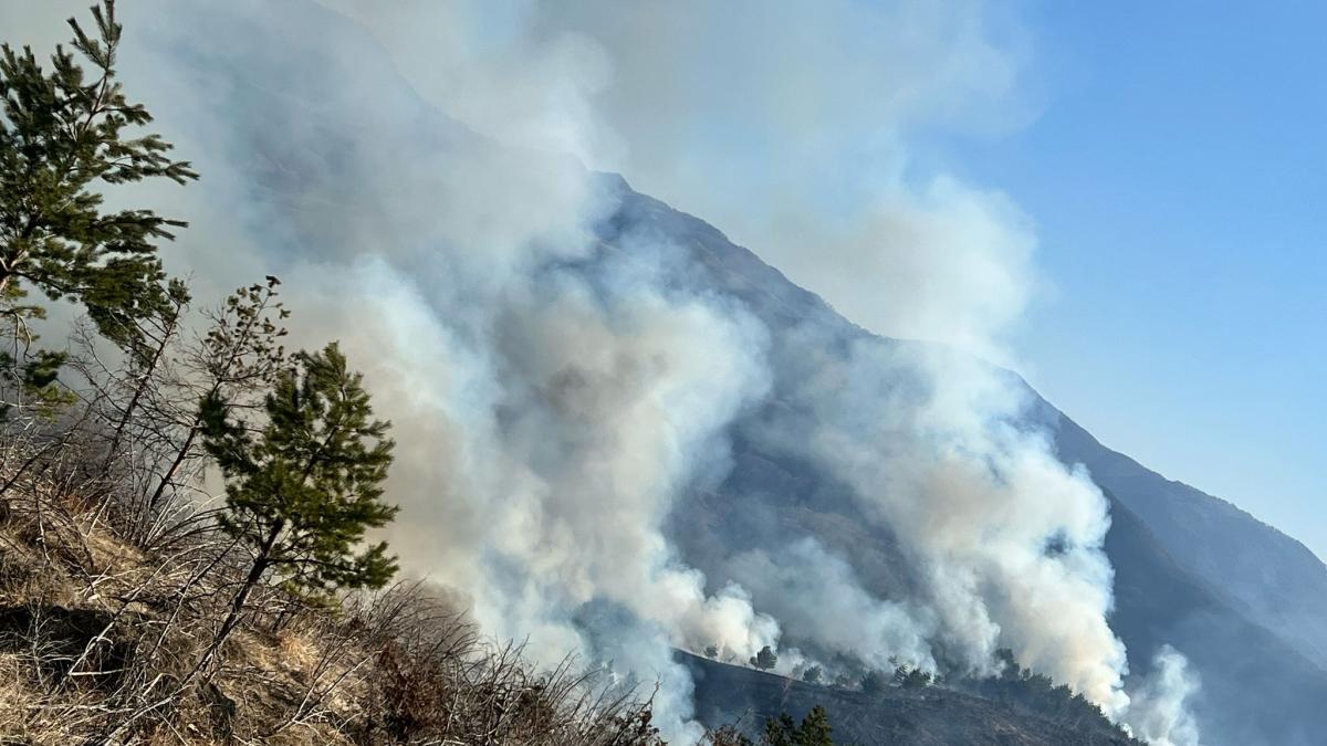 Pompierii cer ajutorul preoților în lupta cu incendiile de vegetație: Mesajul lui Raed Arafat va fi citit în timpul slujbelor 