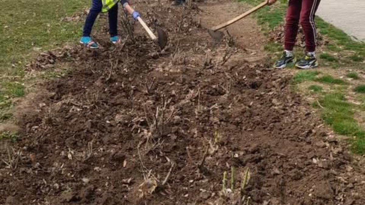 Nicușor Dan anunță curățenia de primăvară în Capitală