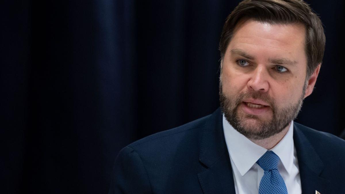 De ce se implică în politica din România JD Vance și Elon Musk