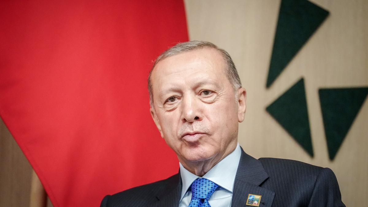 Erdogan: Turcia va intensifica eforturile diplomatice pentru un armistițiu în Gaza