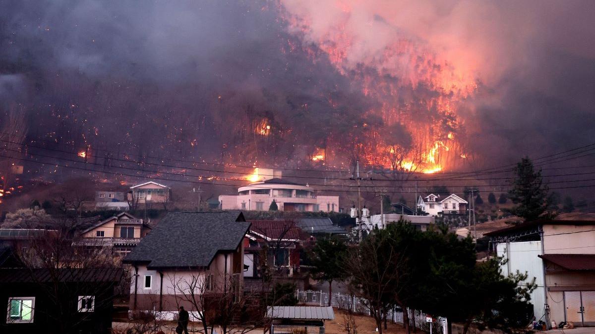 Bricheta care a schimbat istoria: Cel mai mare incendiu din Coreea de Sud a pornit dintr-un cimitir. 30 de oameni au murit