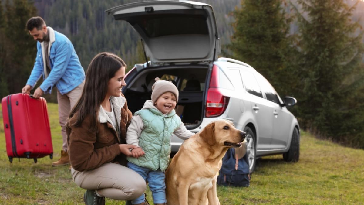 Cum să îți pregătești echipamentele auto de bază pentru o vacanță cu mașina