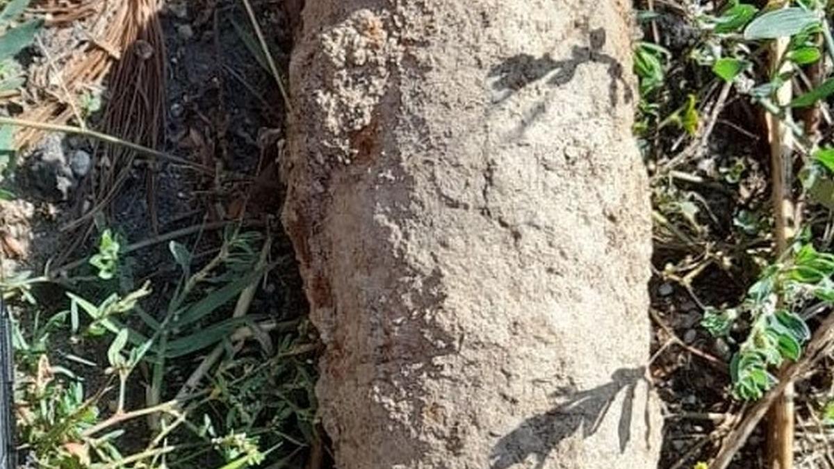 O bombă în perfectă stare de funcţionare, găsită de un culegător de ciuperci într-o pădure din Botoșani