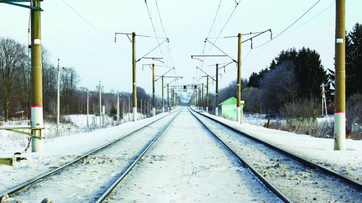 Circulație feroviară întreruptă temporar din cauza copacilor căzuți pe linii