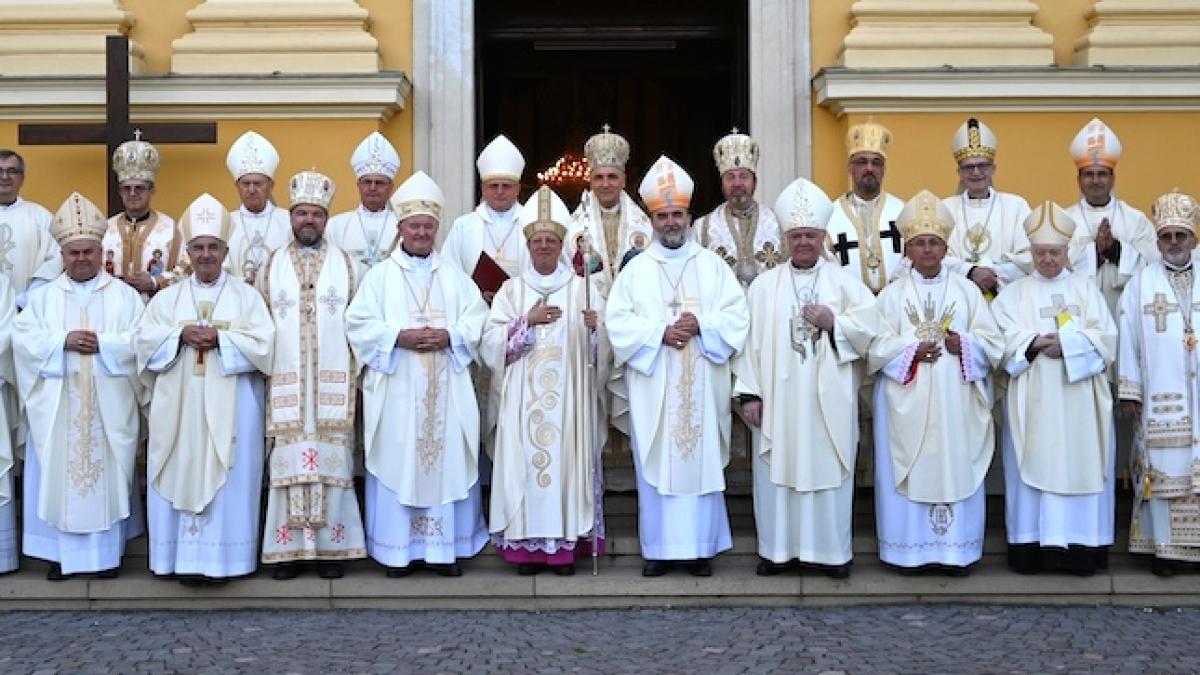 alegere succesor papa francisc