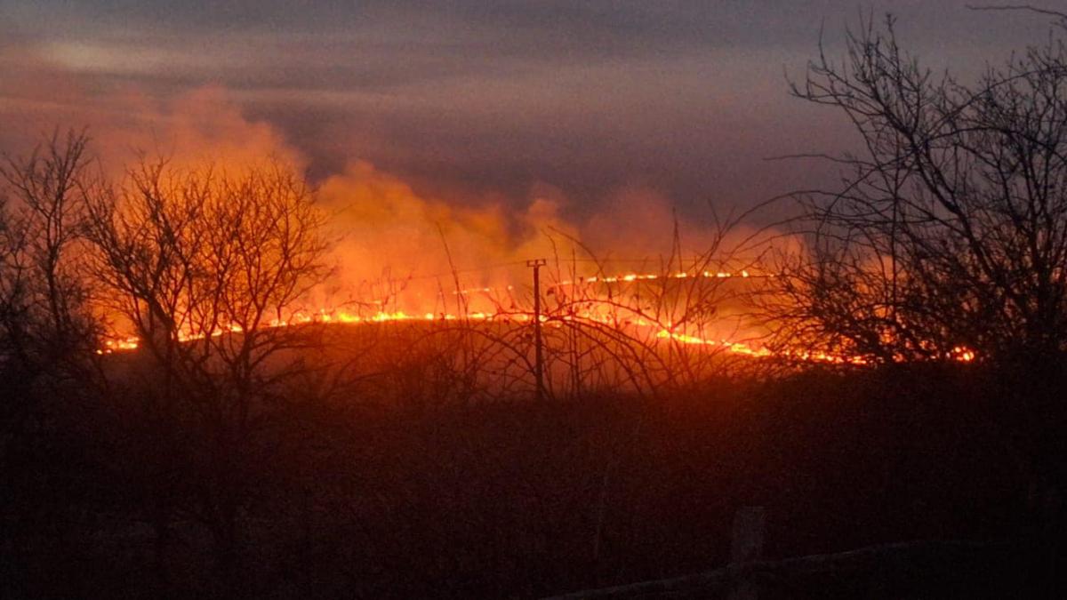 Israelul declară stare de urgență din cauza incendiilor de vegetație