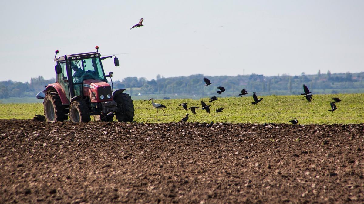 Performanța în agricultură: 44% dintre fermierii români au peste 65 de ani, 90% din ferme au sub 5 hectare