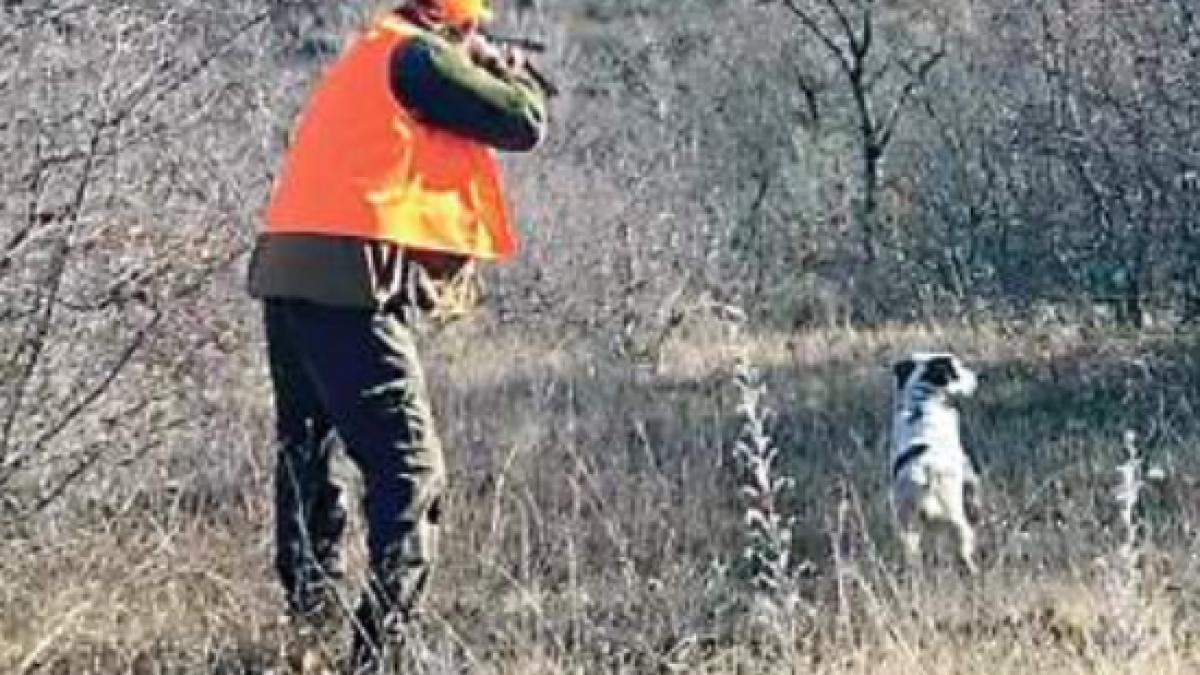 Partidele de vânătoare, anunțate cu două zile înainte pe site-ul primăriei, după ce un bărbat a fost împușcat mortal în timp ce aduna lemne din pădure