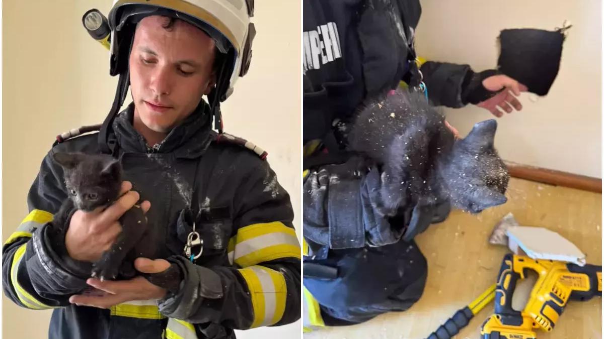 Misiune cu final fericit la Aiud: Pompierii au salvat un pui de pisică și l-au adoptat