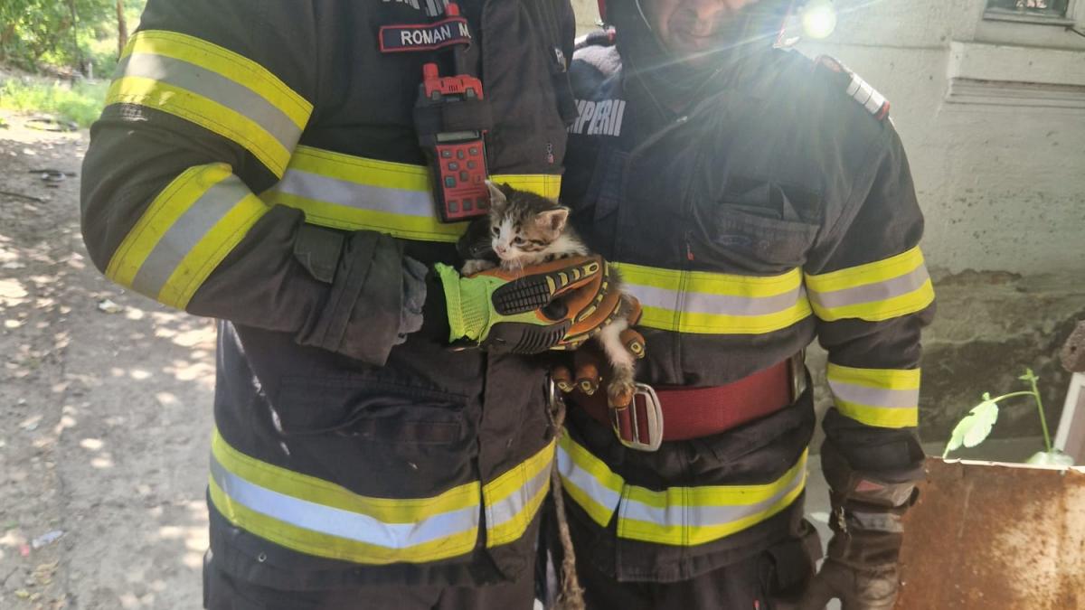 Pisoi căzut într-o fântână de patru metri, salvat de pompieri