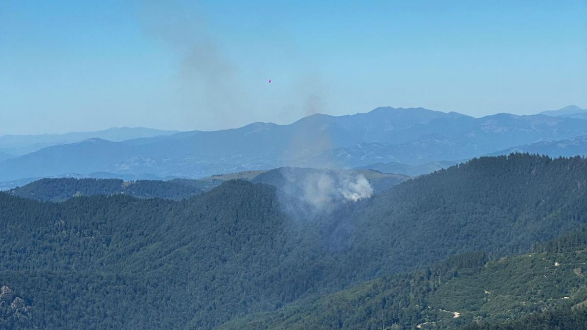 Incendiu de pădure în Masivul Țibleș: Intervenție aeriană și forțe mobilizate în zonă greu accesibilă