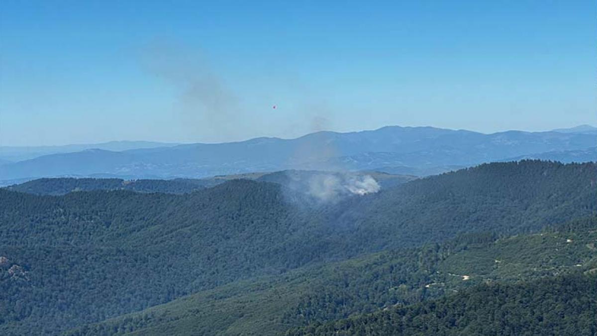 Incendiu masiv de fond forestier în Masivul Țibleș