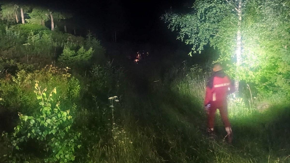 Trei tineri salvați după ce un urs le dădea târcoale, în Munții Rodnei