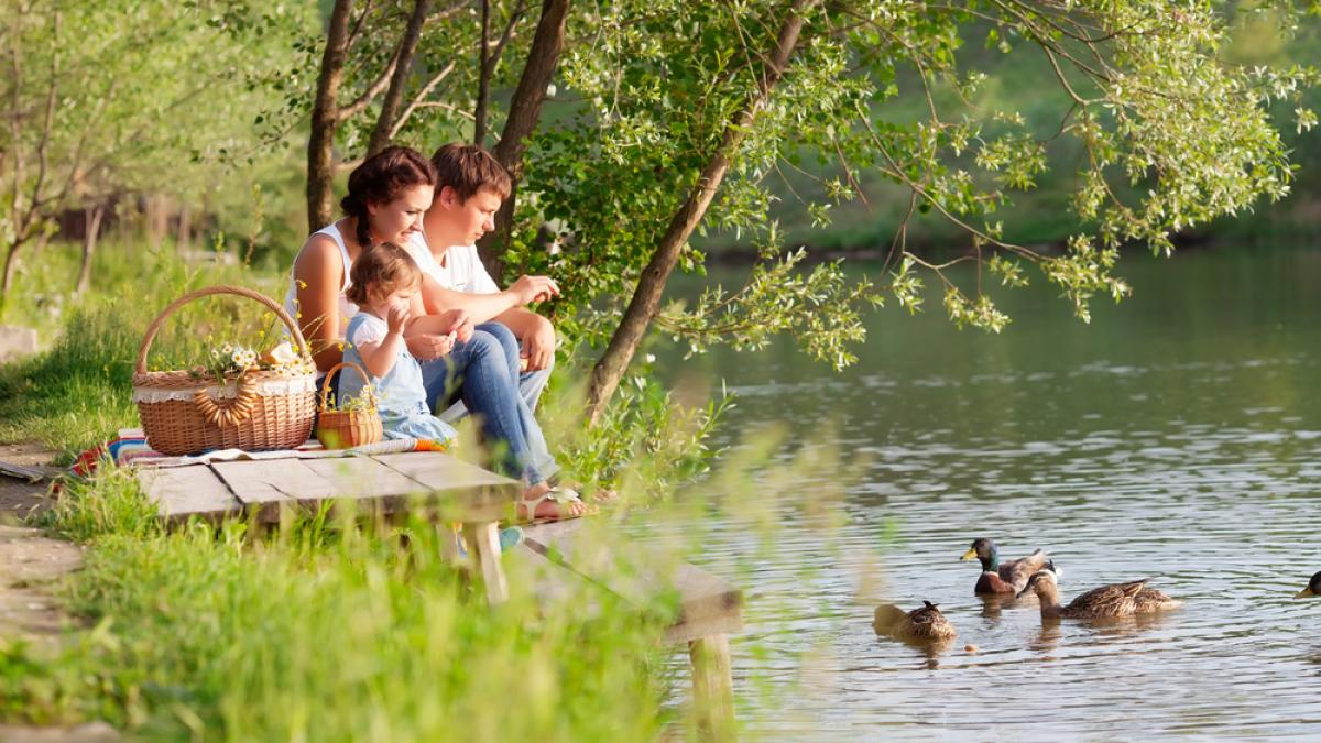 15 minute în natură îmbunătățesc starea psihică, chiar fără mișcare