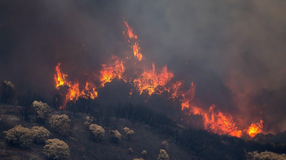 Atenționare MAE pentru turiștii români care merg în Grecia: Risc crescut de incendii de vegetație
