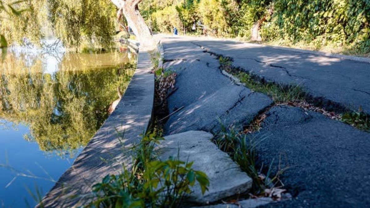 Bujduveanu anunță că au început lucrările de consolidare a aleilor crăpate din Parcul Herăstrău