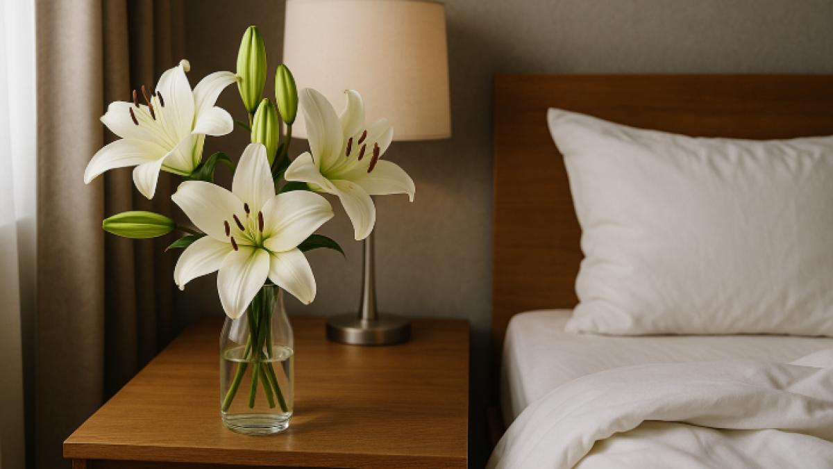 Plante frumoase, dar periculoase: lista florilor care nu au ce căuta lângă patul tău