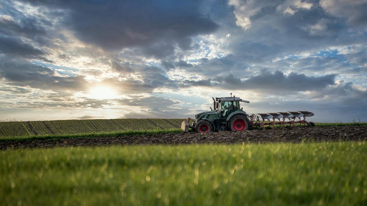 Vin banii de la Bruxelles! Fermierii români primesc 11,5 milioane € despăgubiri de la UE