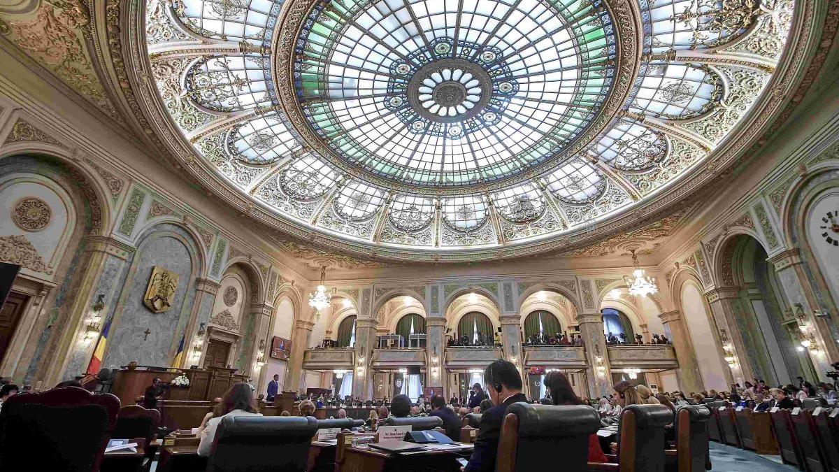 PSD a depus un amendament la Senat pentru prelungirea plafonării produselor de bază încă 3 luni