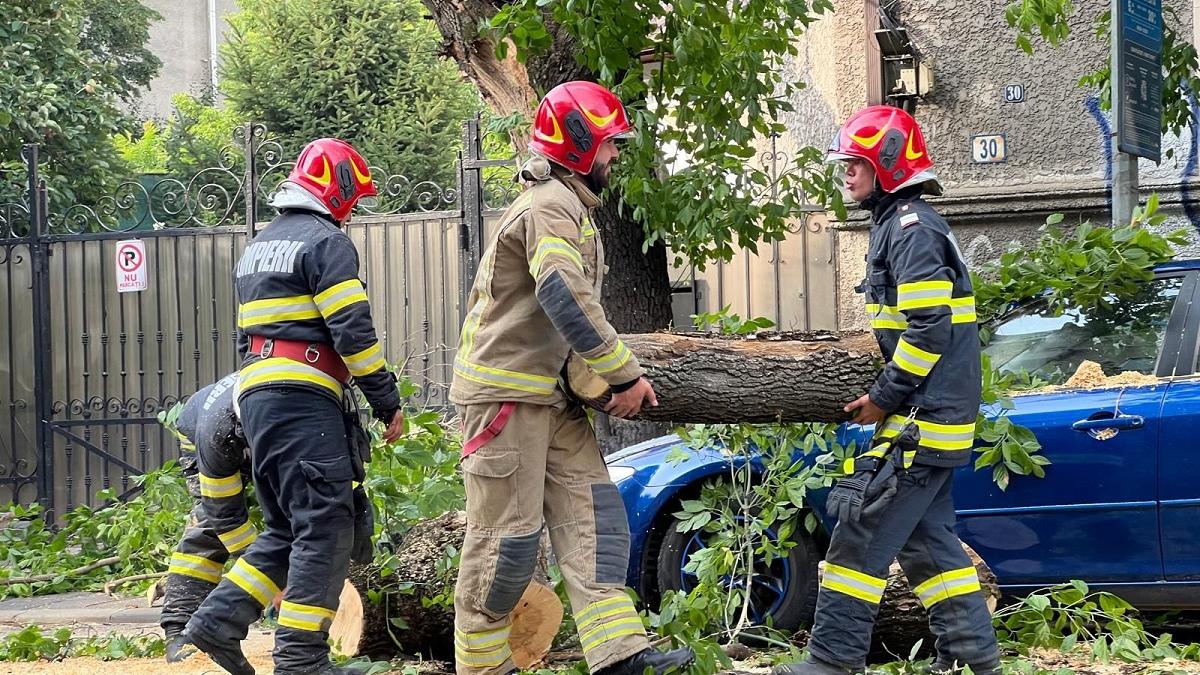 Vijelia a doborât copaci și mai multe mașini au fost avariate în Capitală. O persoană a fost rănită