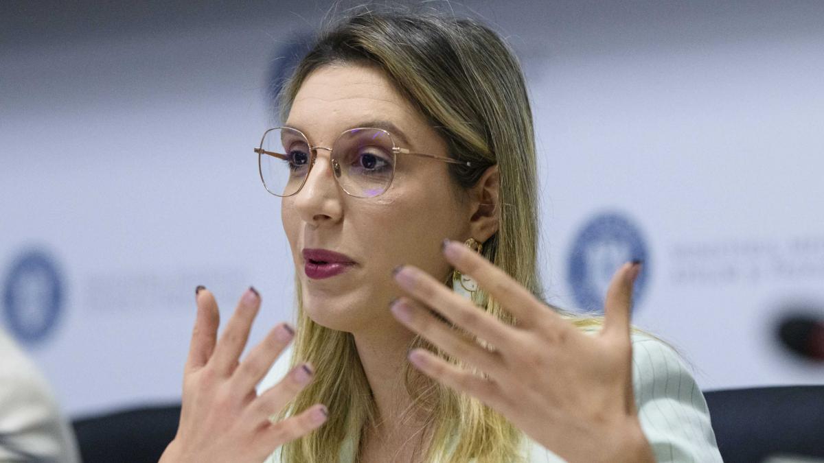Diana Buzoianu anunță adoptarea a două memorandumuri care continuă finanțarea proiectelor de mediu
