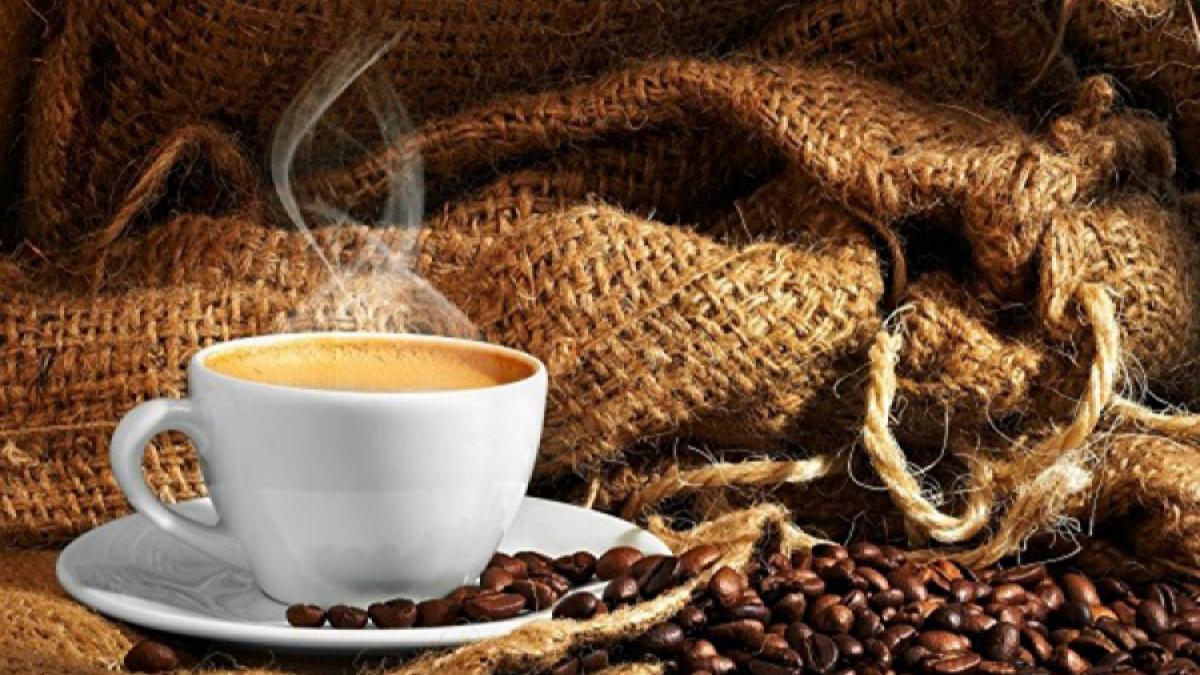 Cea mai scumpă cafea din lume se vinde în Dubai la prețul de 1.000 de dolari ceașca