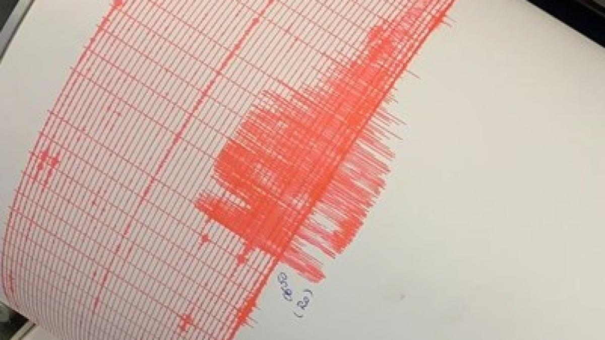 Un cutremur de magnitudine 3,5 s-a produs joi după-amiaza în judeţul Vrancea
