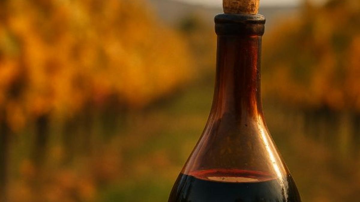 România îşi promovează la Munchen vinul, cultura şi oportunităţile economice