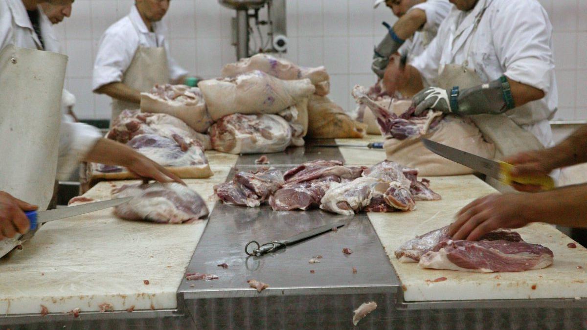 Piața formării profesionale ar putea intra în blocaj, avertizează sindicatele din industria alimentară