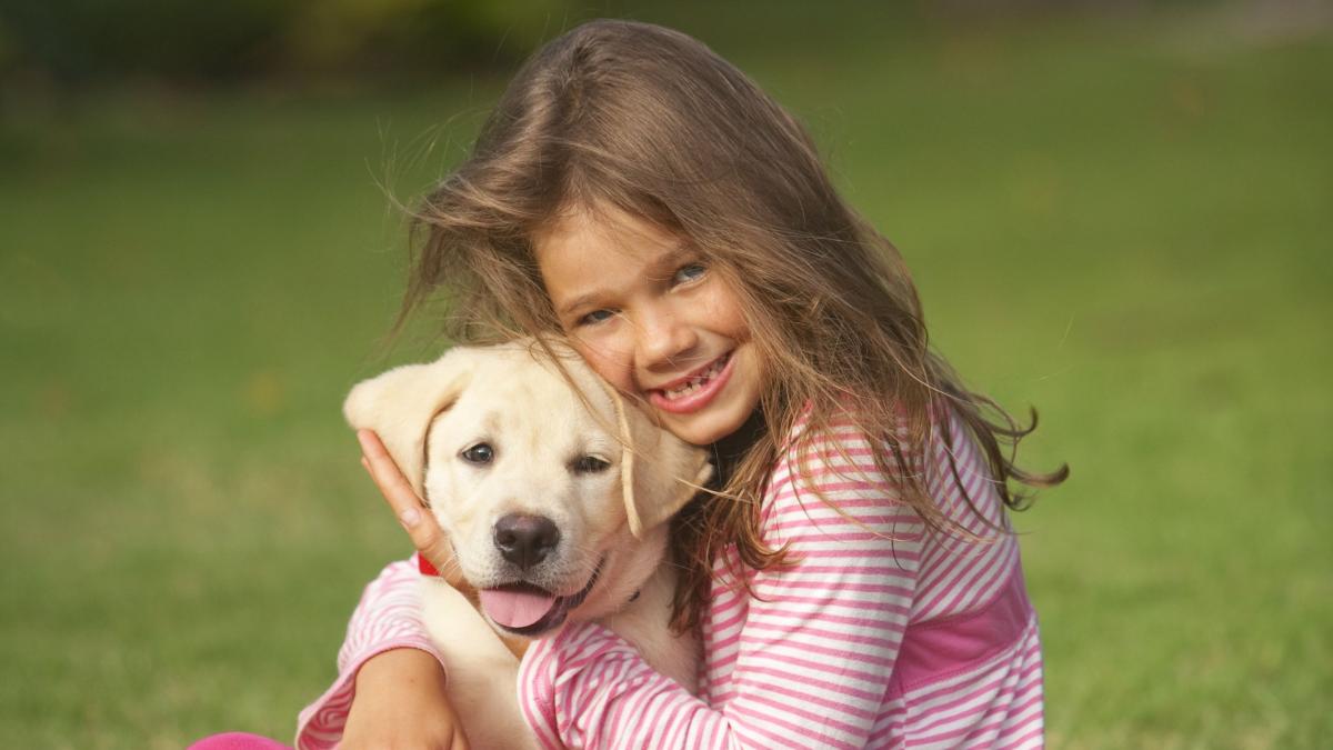 Legătură genetică surprinzătoare între oameni și Golden Retrieveri: 12 gene comune