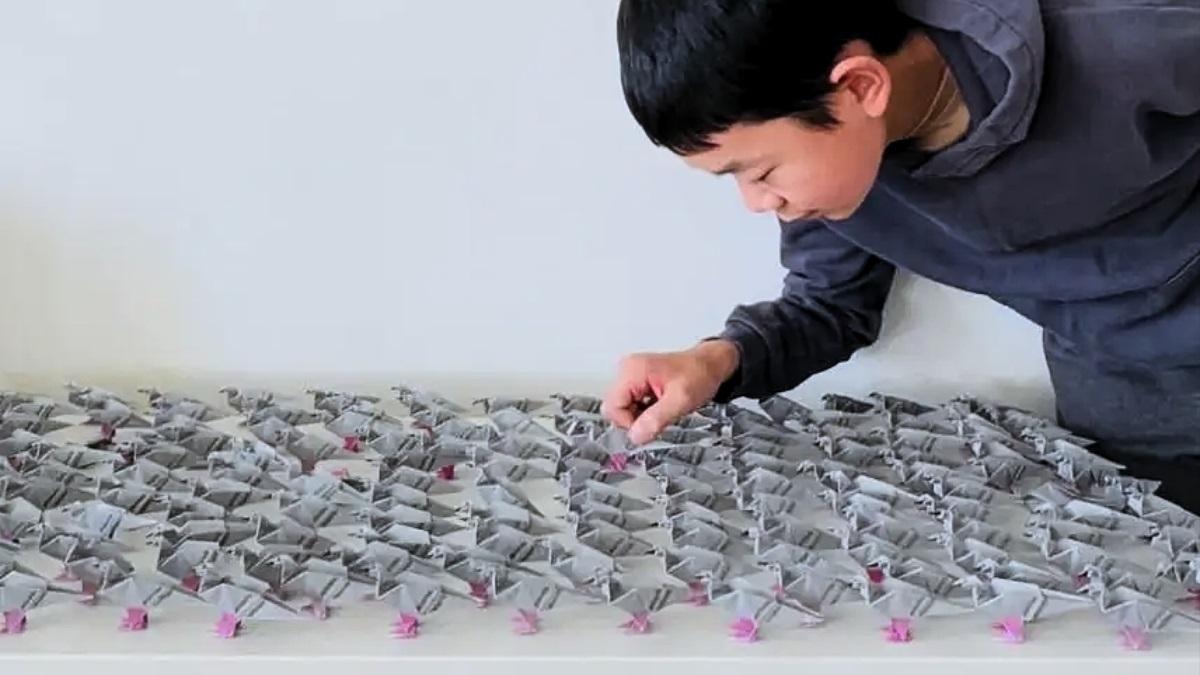 origami salvare vieti dezastre descoperire elev 14 ani