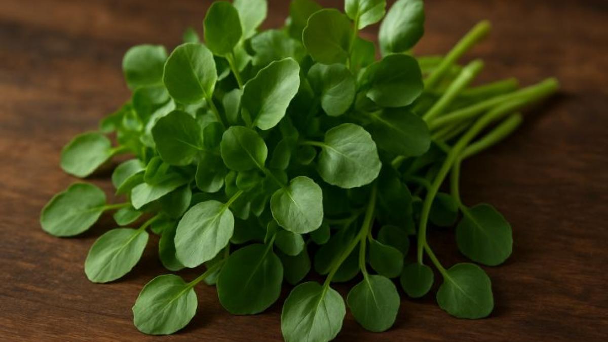 Năsturelul, super-planta uitată: De ce e atât de sănătos și cum consumăm „aurul verde”