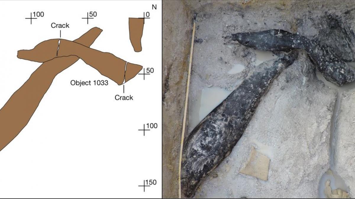 Descoperire istorică: Cea mai veche structură din lemn datează dinainte de Homo sapiens