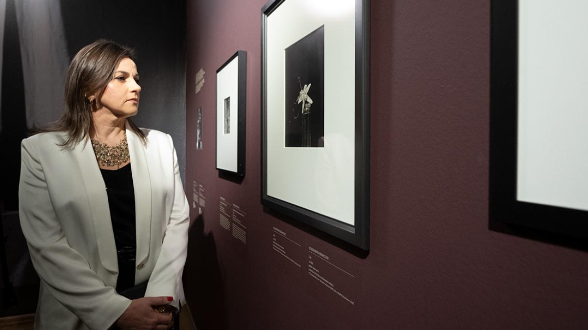 Publicul polonez, fascinat de fotografiile realizate de Brâncuși. Secvențe filmate de Brâncuși și muzică live de Wojtek Kiwer, la finisajul expoziției „Brâncuși. Sculptând cu lumina”