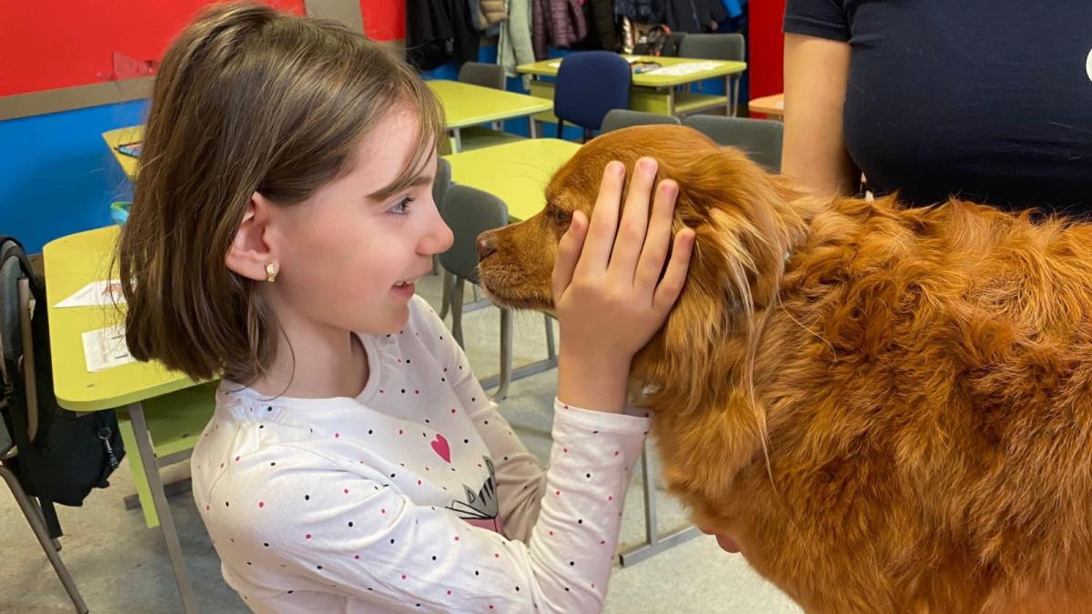 O nouă materie opțională, iubită de copii: Ora cu și pentru animale