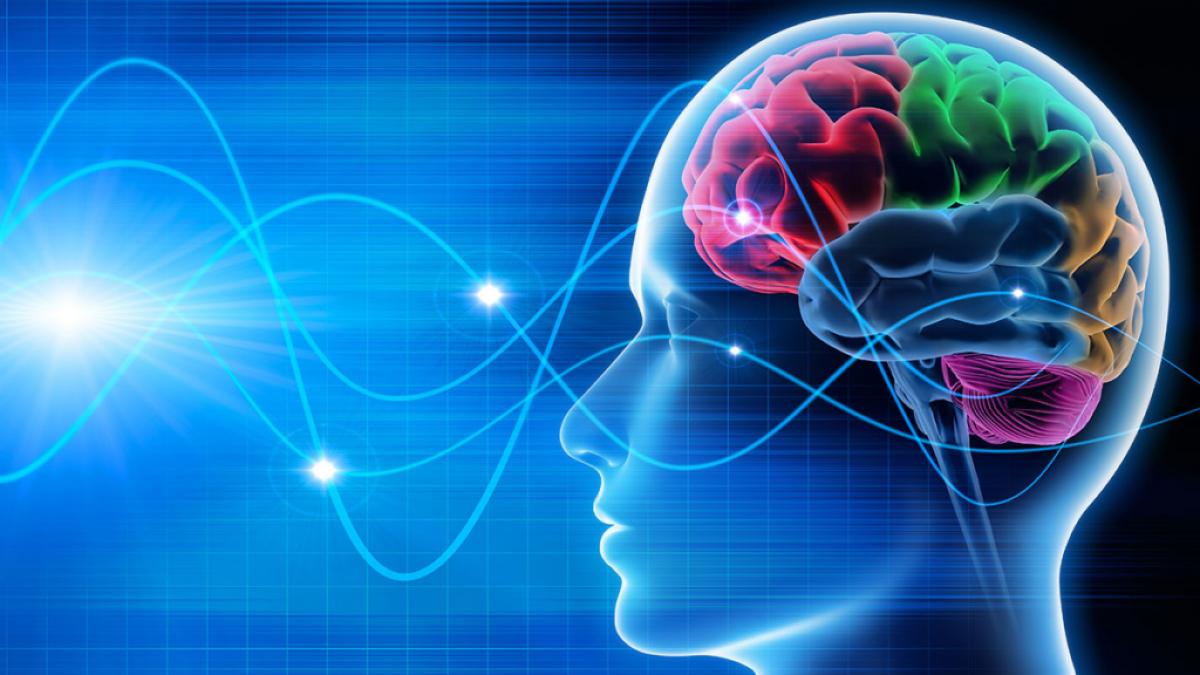 Neurotehnologia ne va citi gândurile: Cum va deveni creierul noua interfață digitală