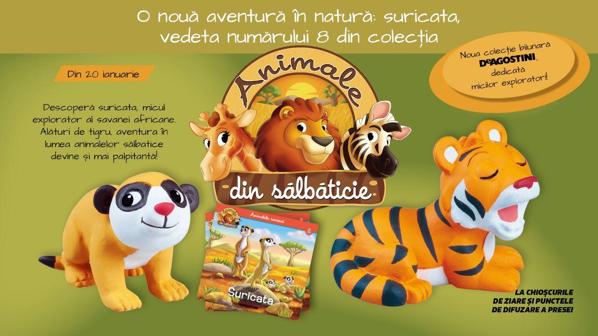 O nouă aventură în natură: suricata, vedeta numărului 8 din colecția „Animale din sălbăticie”