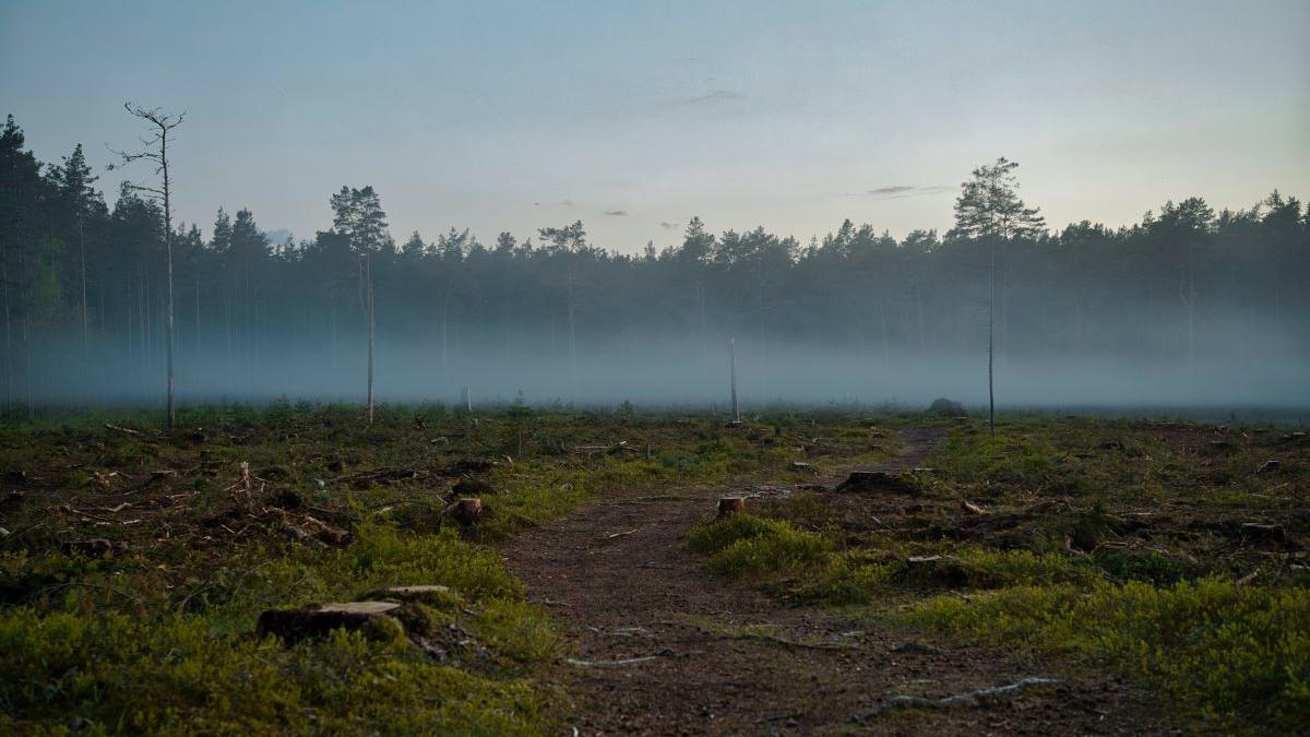 Prețuri uriașe la terenurile agricole. Județul din România unde prețurile au explodat