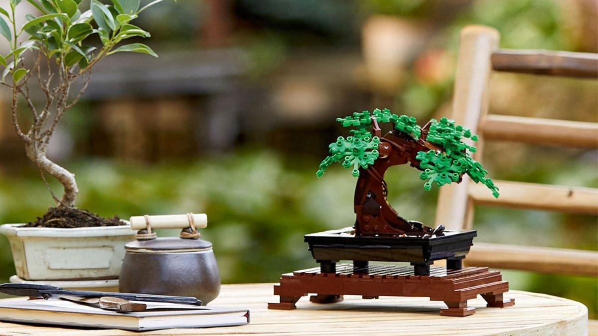 Feng Shui: Cum să îngrijești un bonsai pentru a aduce echilibru și abundență în casa ta