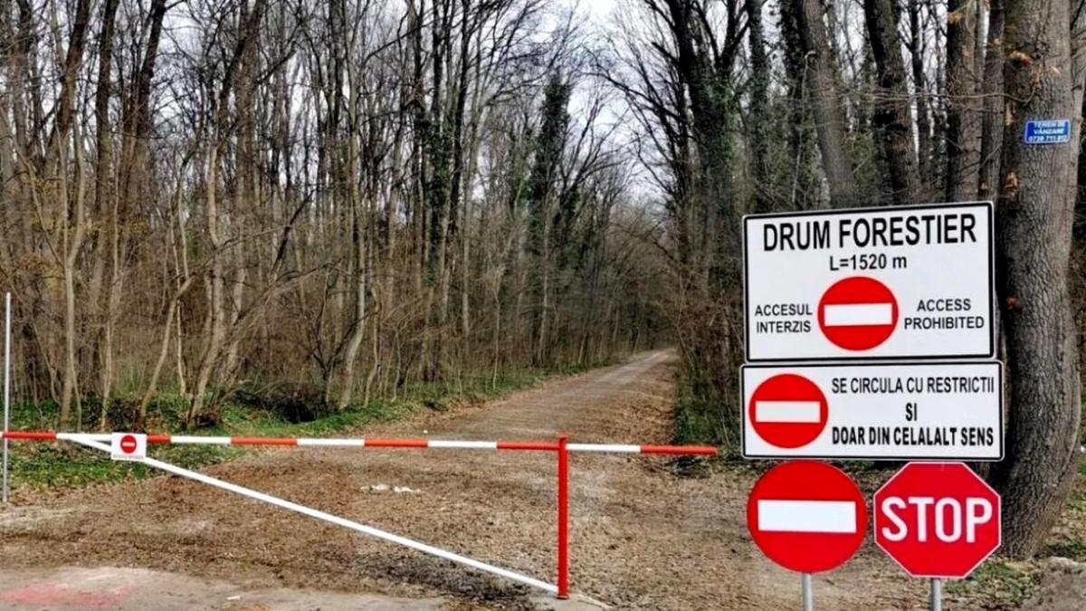 Romsilva: Drumul forestier din pădurea Băneasa există din 1974 și nu a ieșit niciodată din fond