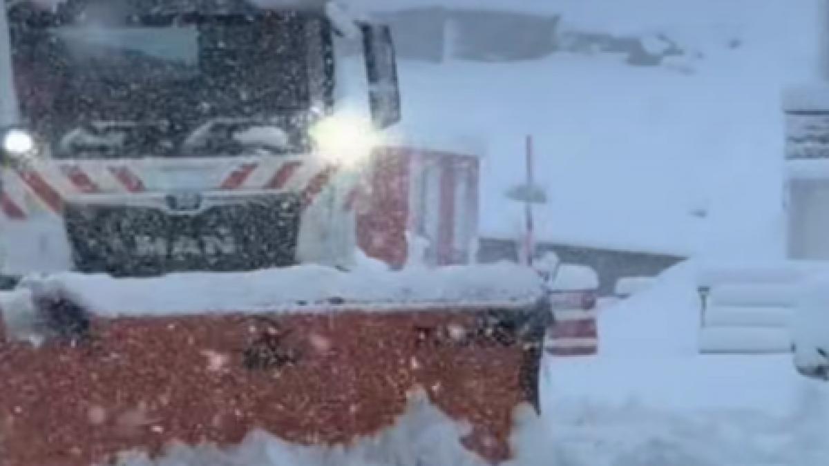 La Dializă, cu șenilata