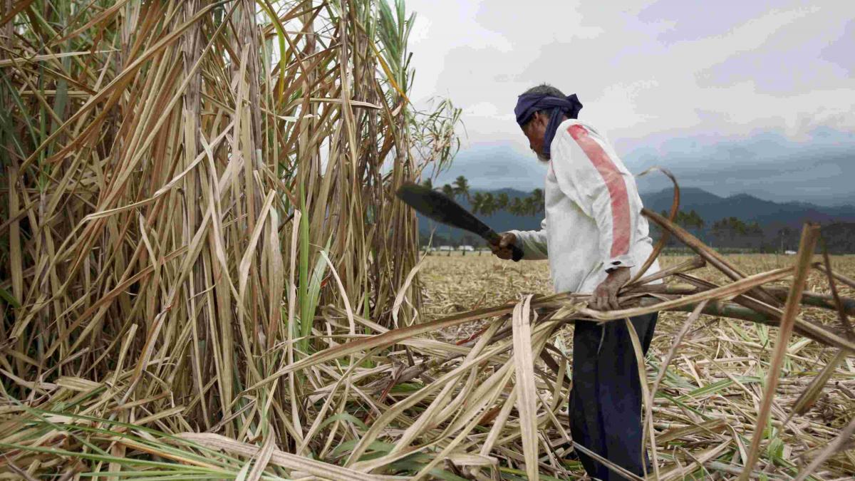 Noul meniu european: peste 100 de substanțe periculoase, în alimentele aduse din Mercosur