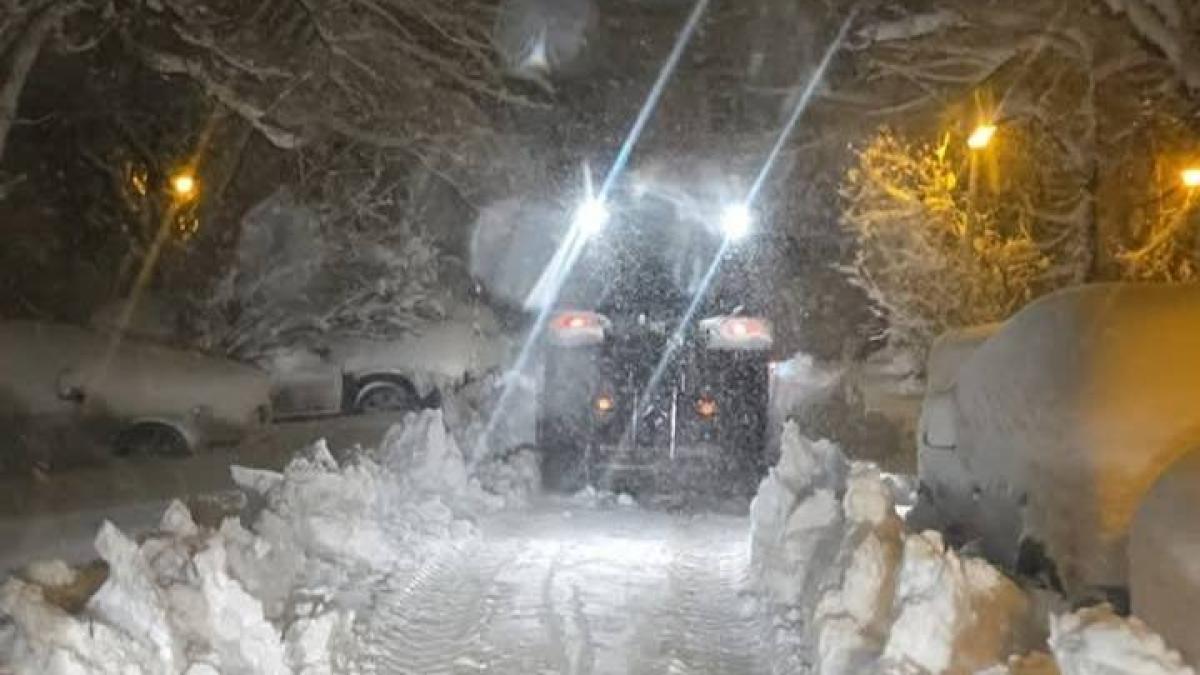 Haos provocat de ninsori și viscol: copaci doborâți în București, drumuri blocate și șoferi captivi în zăpadă