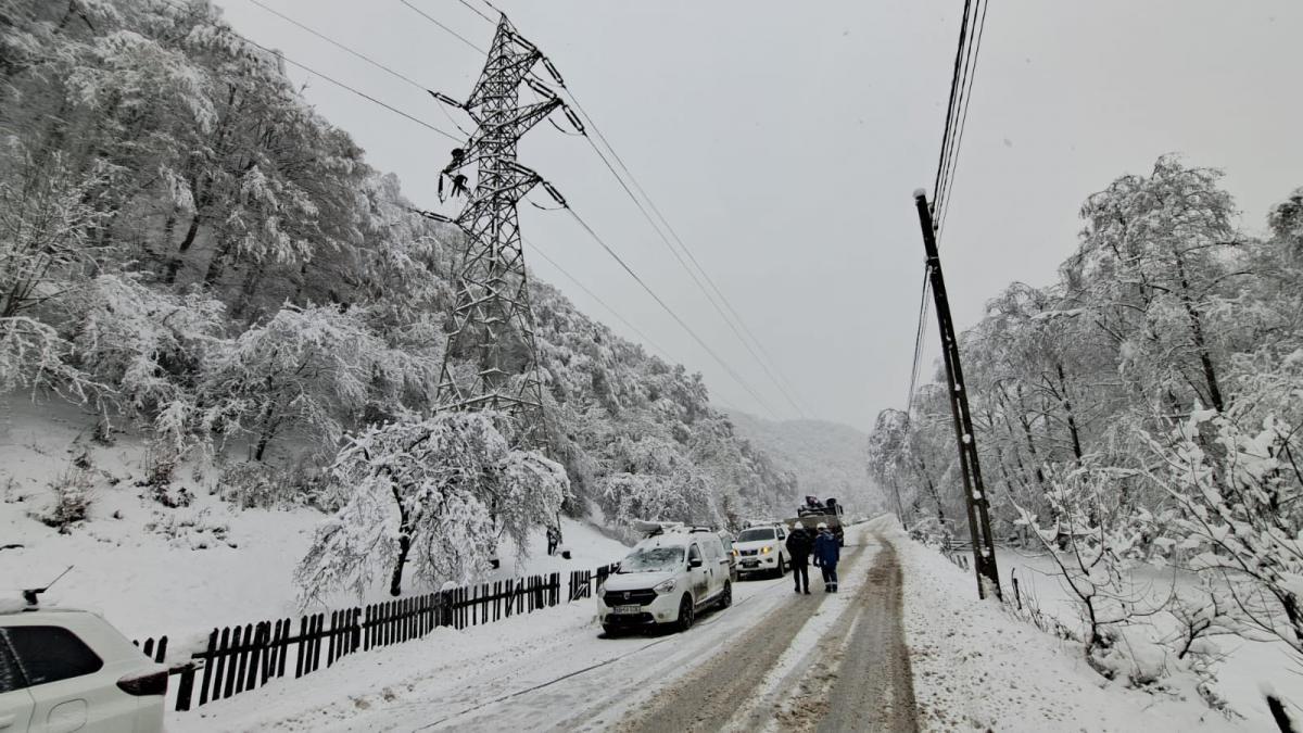 Grupul Electrica a înregistrat în 2025 un profit net record