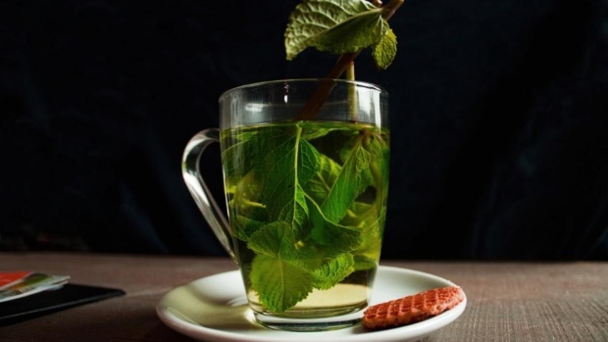 Planta folosită de greci și romani, alternativa naturală la somnifere