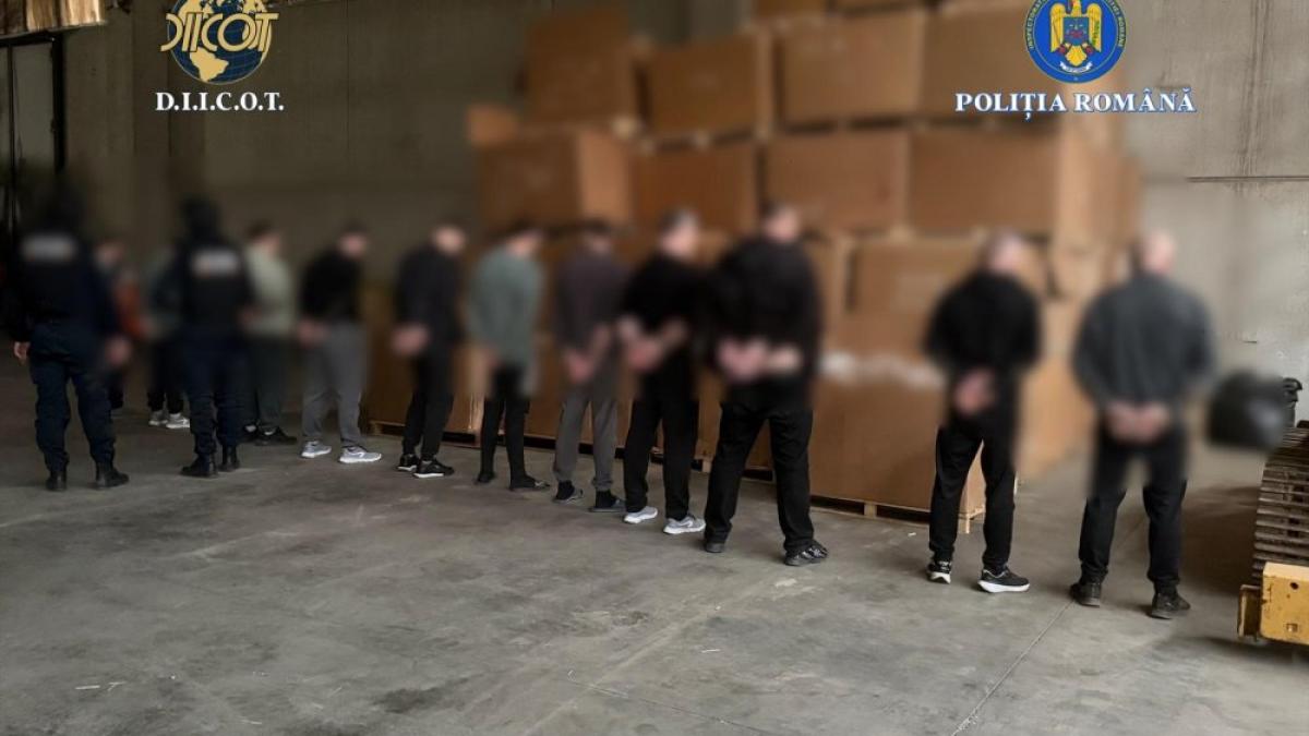 fabrica ilegala tigari diicot judetul timis tigari