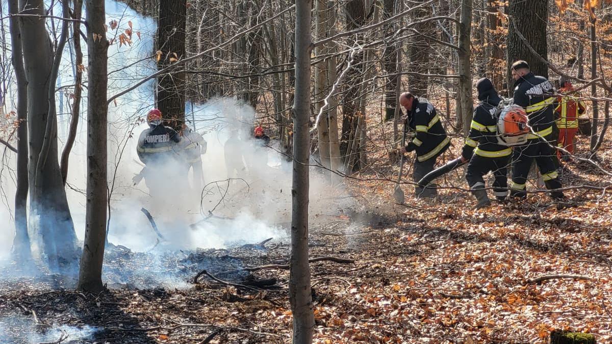 Incendiile de vegetație din Nănești și Racșa au fost lichidate