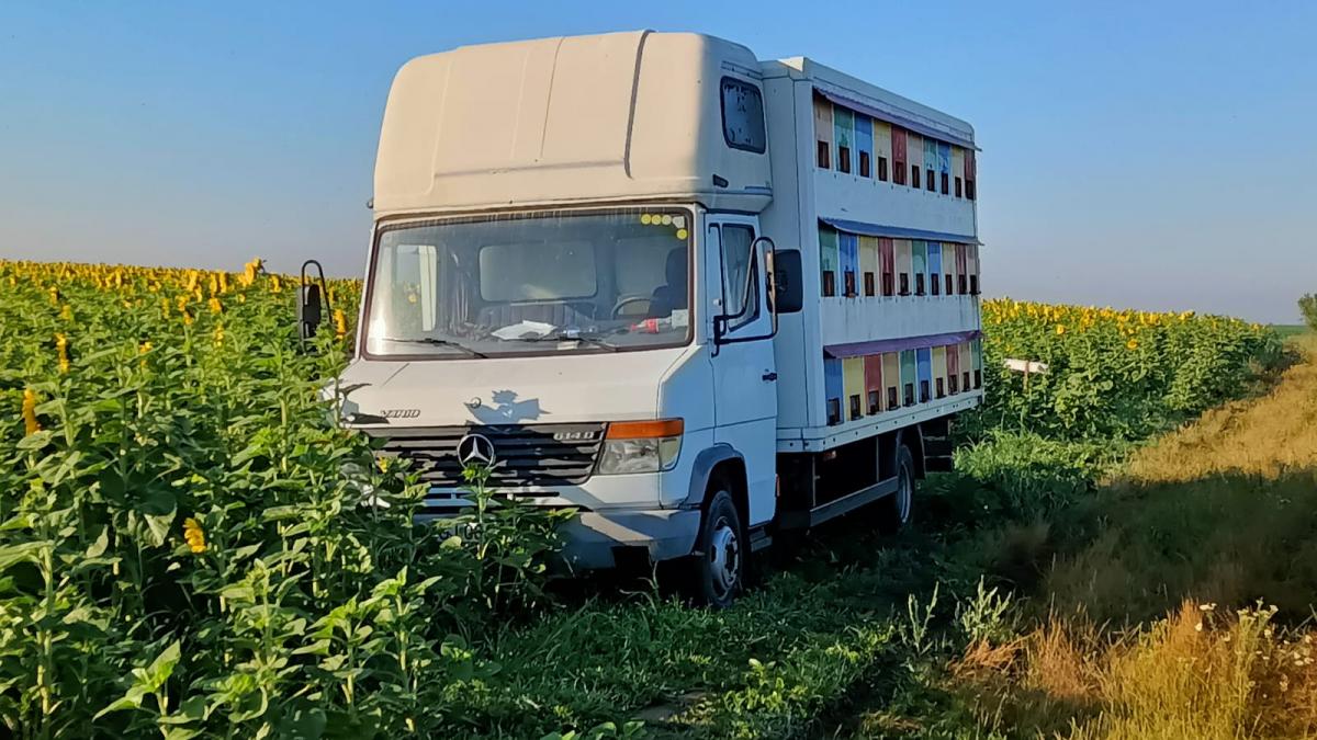 Mașinile folosite la transportul albinelor, scutite de impozitul auto
