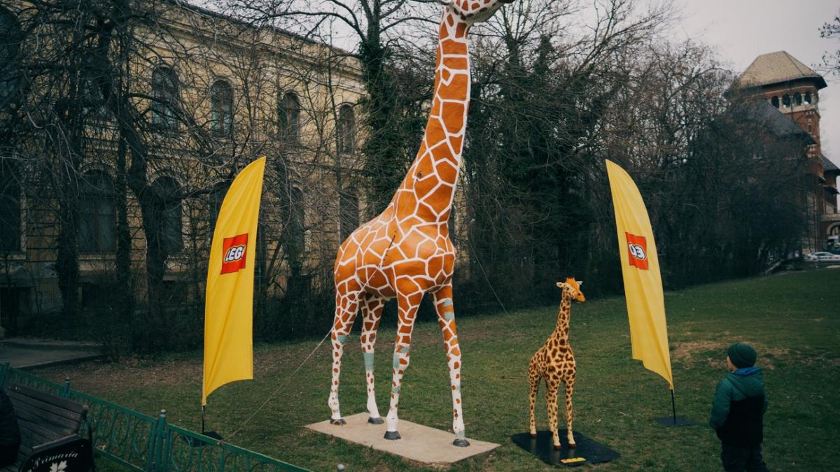 Girafa de la Antipa și LEGO îi învață pe copii să iubească animalele